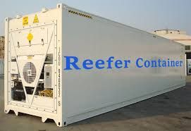 DEVELOPMENT OF DEMAND FOR REFRIGERATOR CONTAINER TRANSPORTATION SERVICES